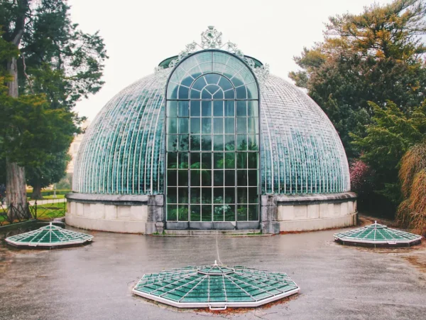 Dultrices Emassa Rat Wnisl Gulvinar Genenatis