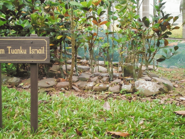 Kuburan Tuanku Ismail